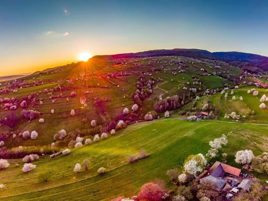 Penzion** Amalka Hriňová Buitenkant foto